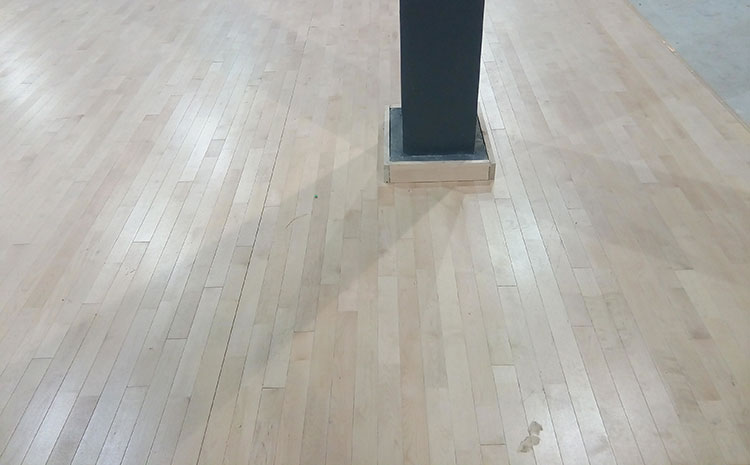 五角楓排球館木地板圖片及價格